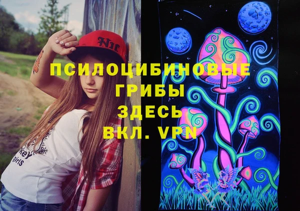 не бодяженный Алзамай